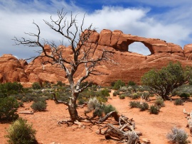 Arches National Park Wallpaper (click to view)