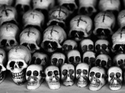 Day of the Dead Wallpaper