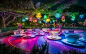 Disneyland Mad Tea Party
