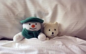 Mr. Snowman and Little Bear