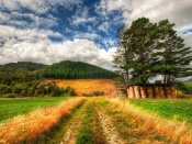 New Zealand Wallpaper