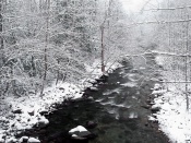 Scenic Wallpaper - Winters Beauty