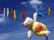 Stuffed Kitty's Wash Day