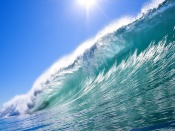 Surf's Up! Ocean Wallpaper