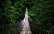 Suspension Bridge Wallpaper