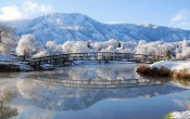 Winter Bridge