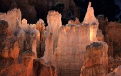 Bryce Canyon Hoodoos