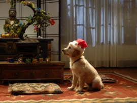 Disney Christmas Wallpaper - Santa Paws (click to view)