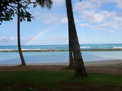 Hawaiian Rainbow Wallpaper