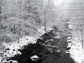 Scenic Wallpaper - Winter's Beauty (click to view)