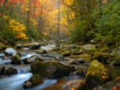 Tennessee Autumn