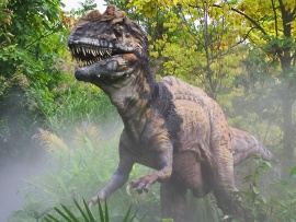 Tyrannosaurus Wallpaper (click to view)