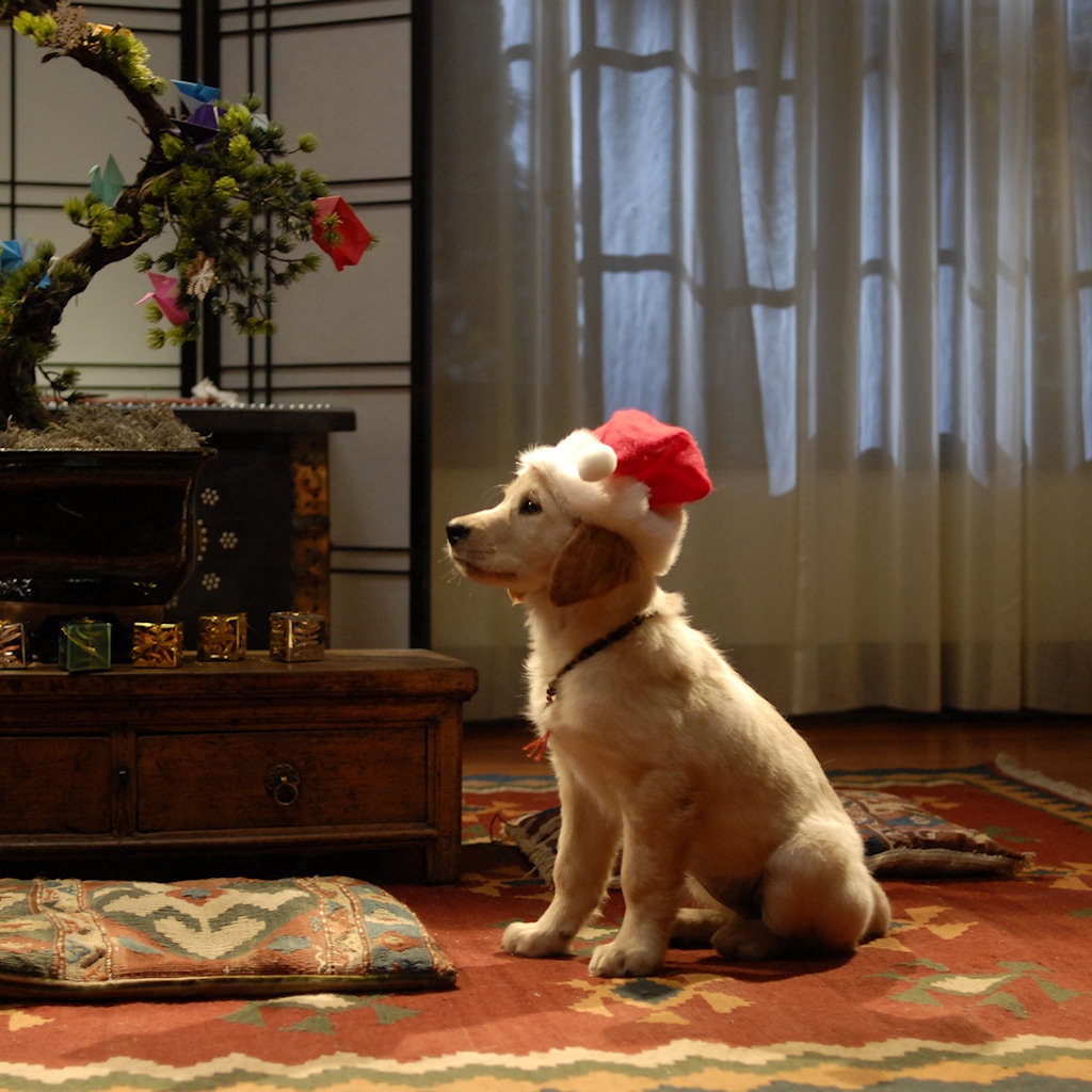 Disney Christmas Wallpaper - Santa Paws